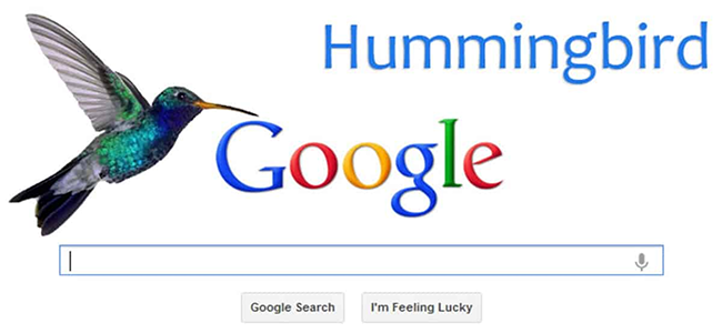 Tìm hiểu về thuật toán Google Hummingbird là gì?